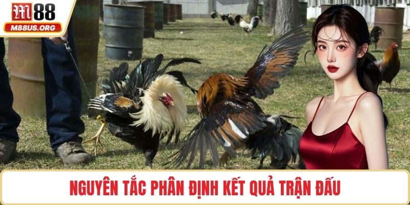 Nguyên tắc phân định kết quả trận đấu