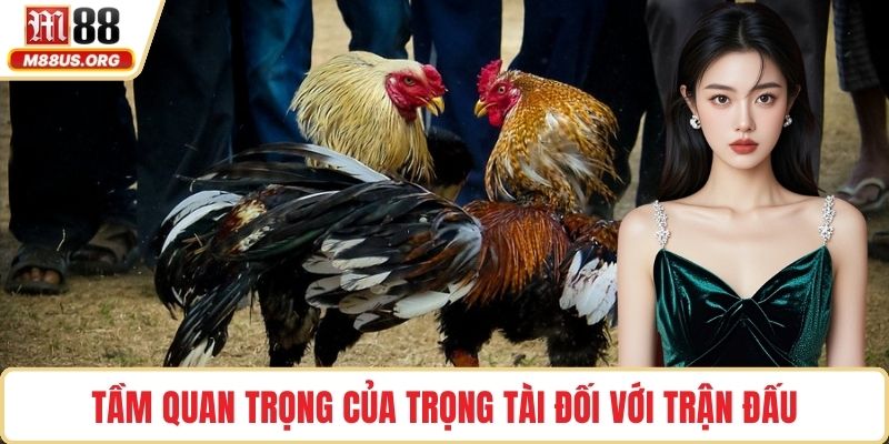 Tầm quan trọng của trọng tài đối với trận đấu